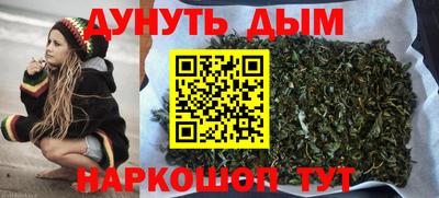 дмт Новодвинск