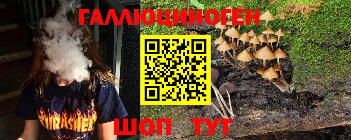 Хабаровск  Псилоцибиновые грибы Cubensis  Вход с VPN 