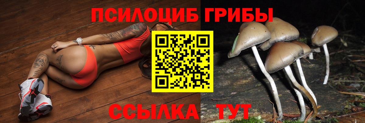 Псилоцибиновые грибы MAGIC MUSHROOMS Хабаровск